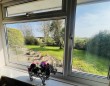 The Causeway, Mark, Highbridge