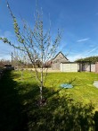 Kingsway, Tarnock, Axbridge