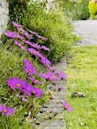 Lower Norton Lane, Kewstoke, Weston-Super-Mare