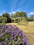 Quab Lane, Wedmore