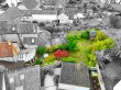 Glanville Road, Wedmore